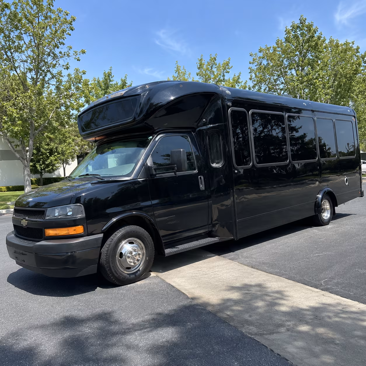 southfield 15 passenger party bus