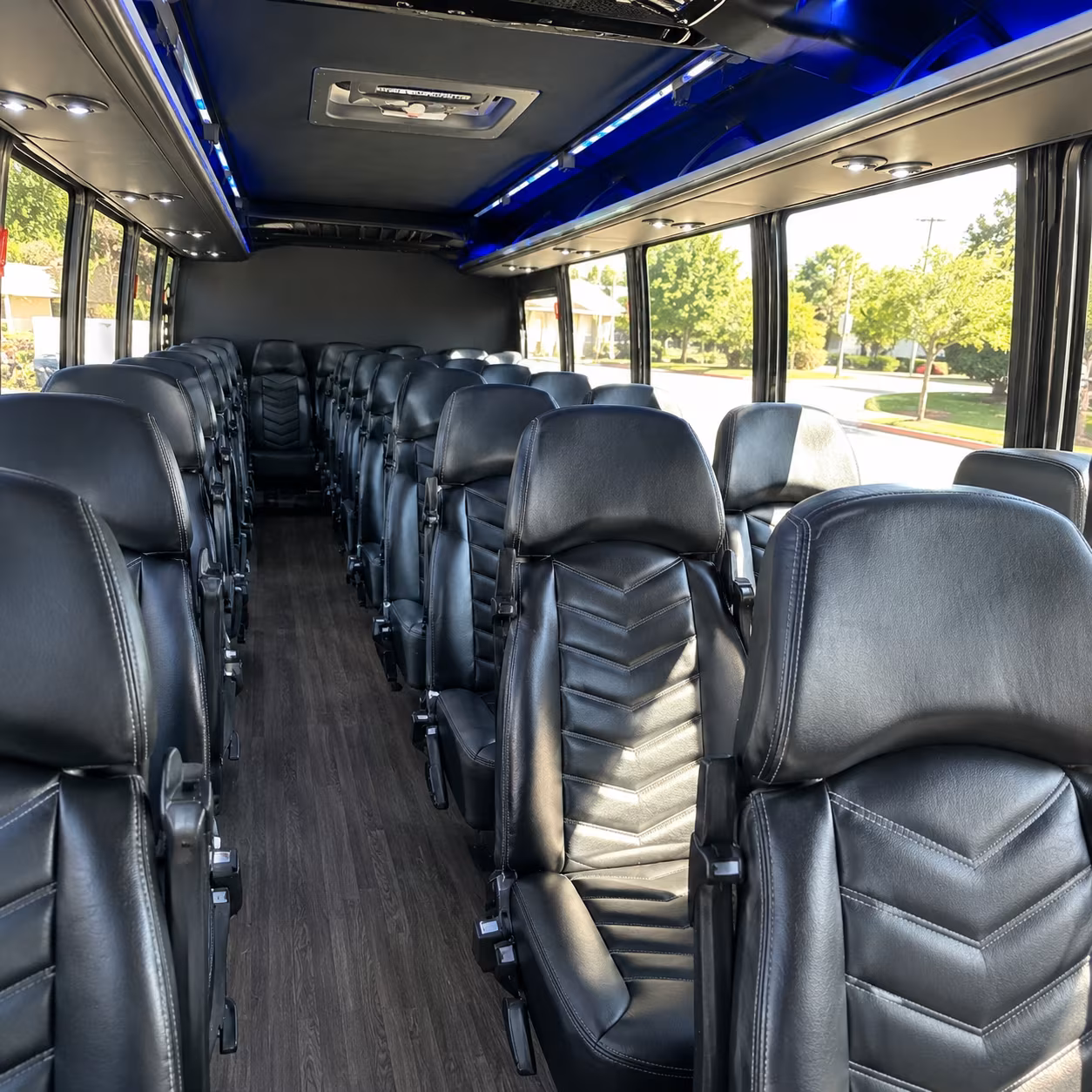 southfield birthday party transportation onboard seating
