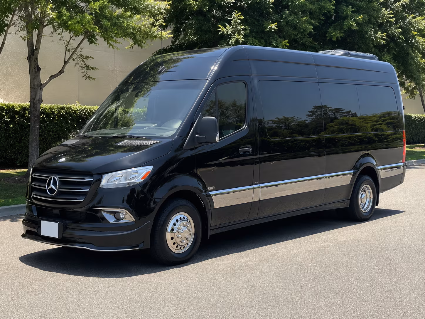 southfield sprinter van with driver
